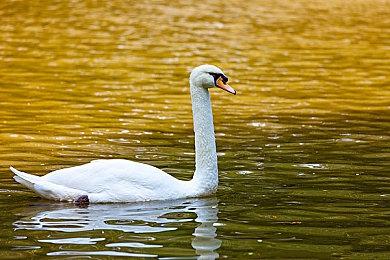 百万玩家翘首以待！末日抉择题材新作牵手知名发行商Devolver Digital